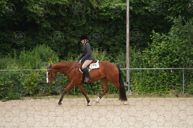 sA9K09911.JPG